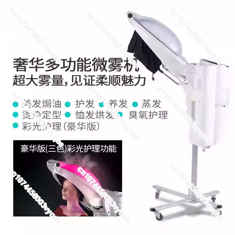 오일 트리트먼트 오존 마이크로 미스트 스팀 헤어 케어  - Hair Care In Salon 리뷰 및 가격